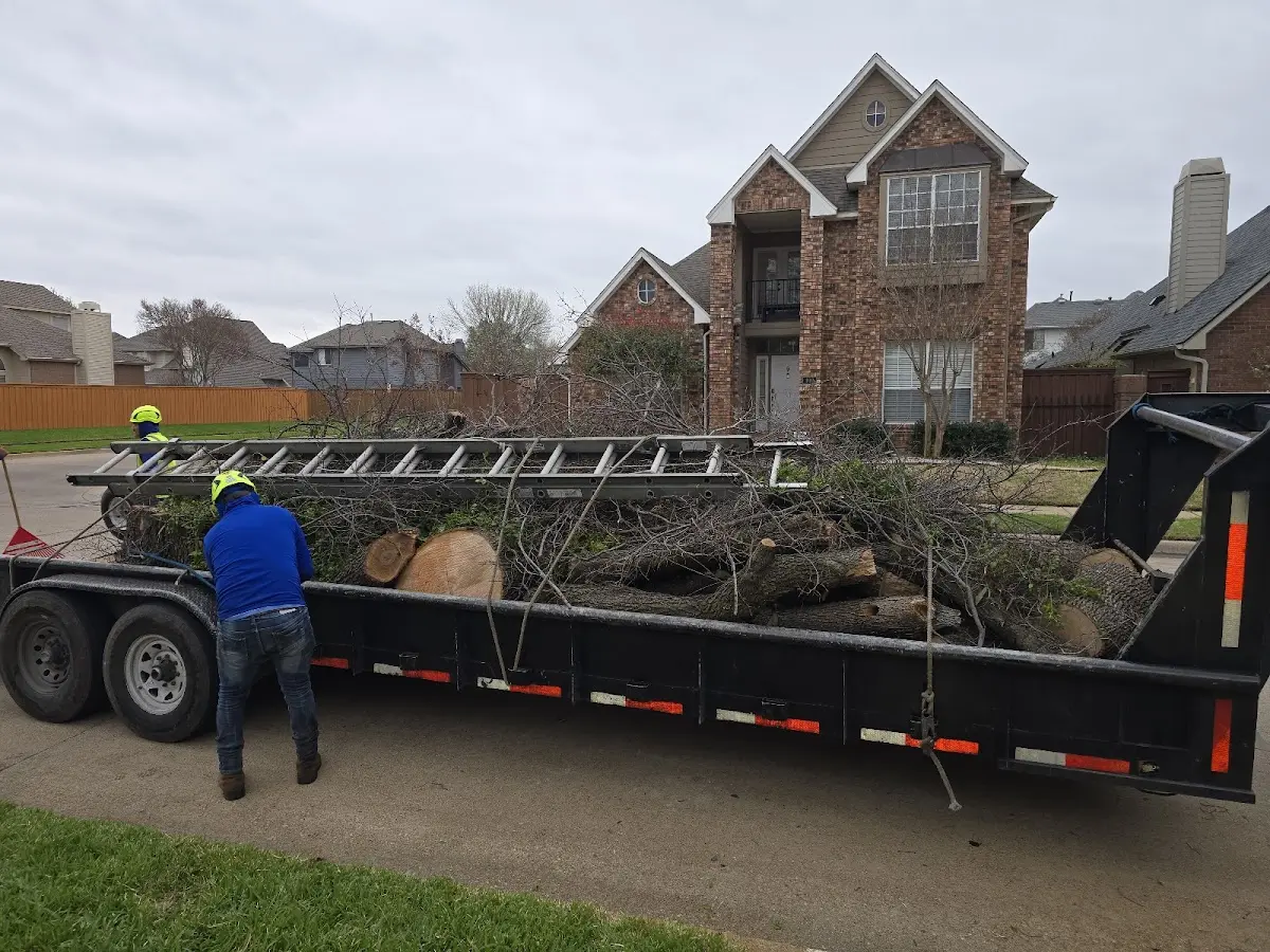 Expert Tree Removal with proper safety equipment in Hurdle Mills